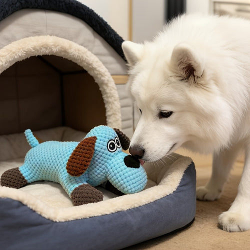 Blue Flat-Face Dog