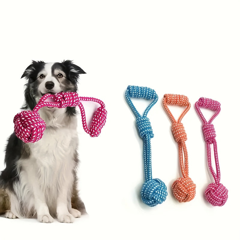 Interactive Dog Leash Toy