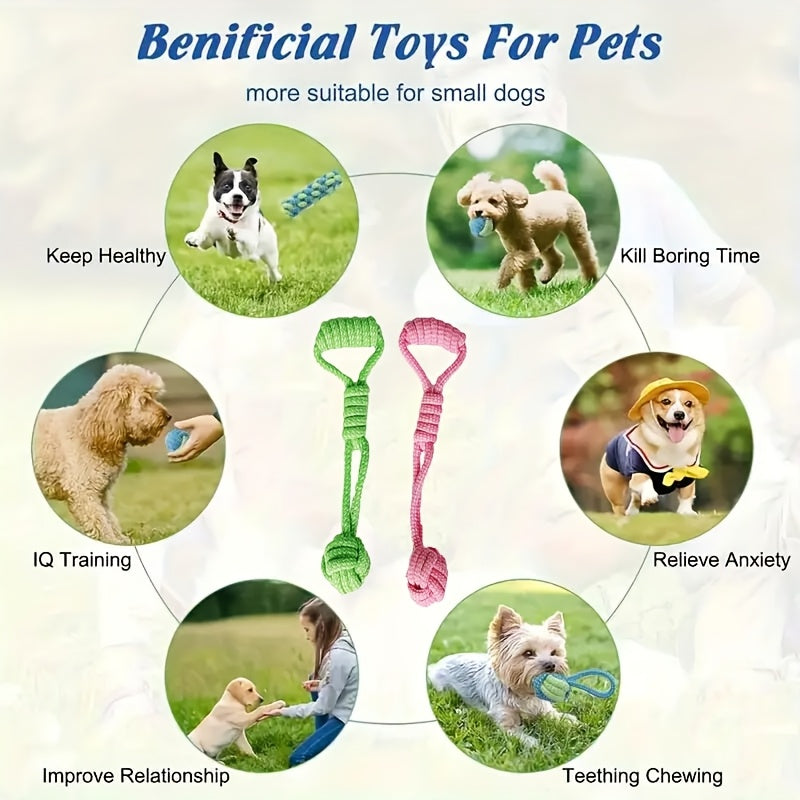 Interactive Dog Leash Toy