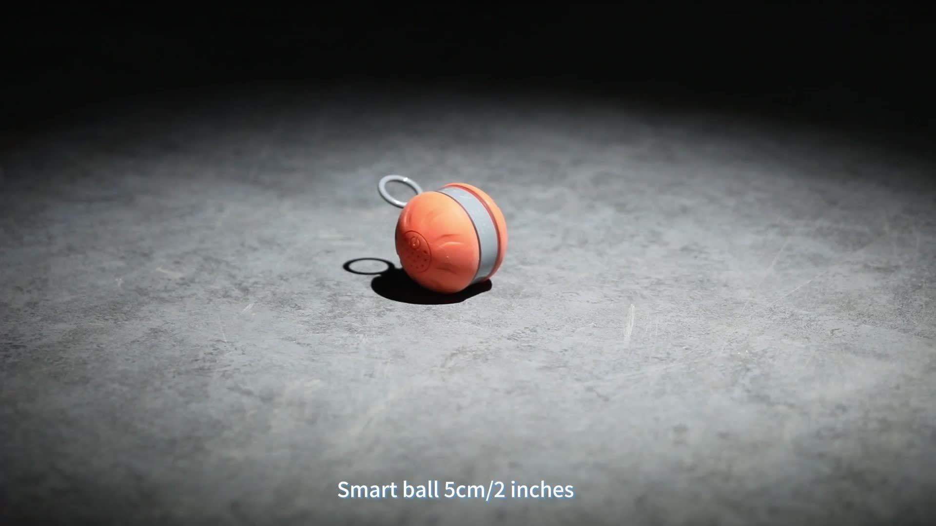 Cat interactive toy ball