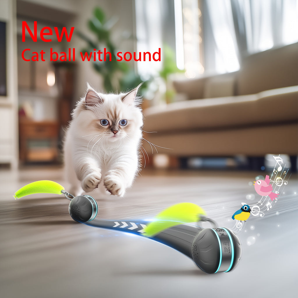 Cat interactive toy ball