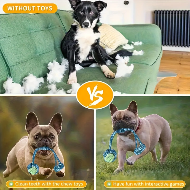 Interactive Dog Leash Toy