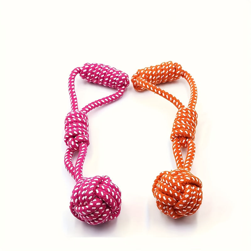 Interactive Dog Leash Toy