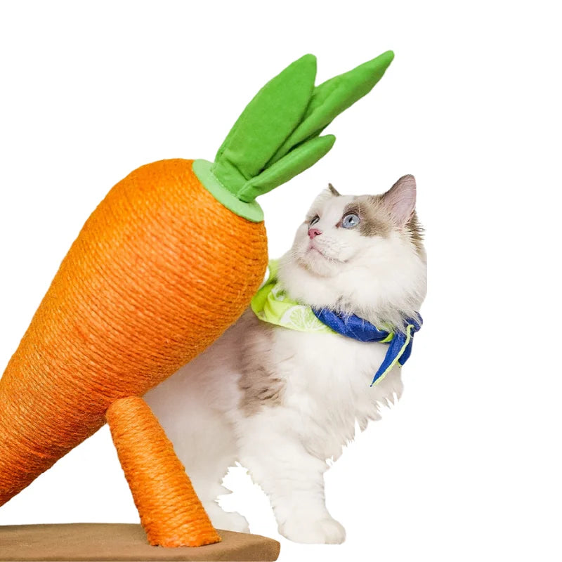 Cat Scratcher