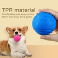 Dog ball