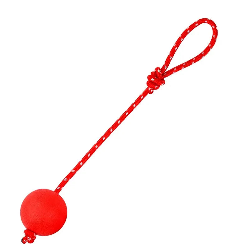 Dog ball