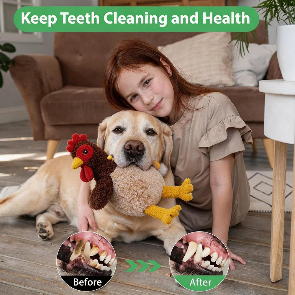 Dog plush toy