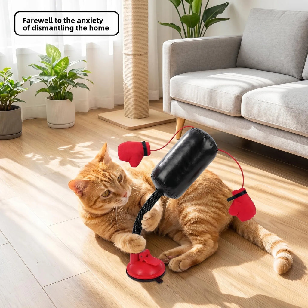 Cat Boxing Gloves