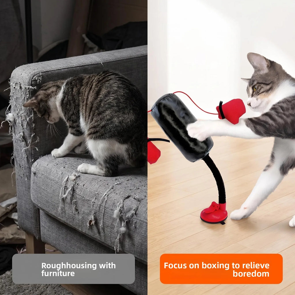 Cat Boxing Gloves