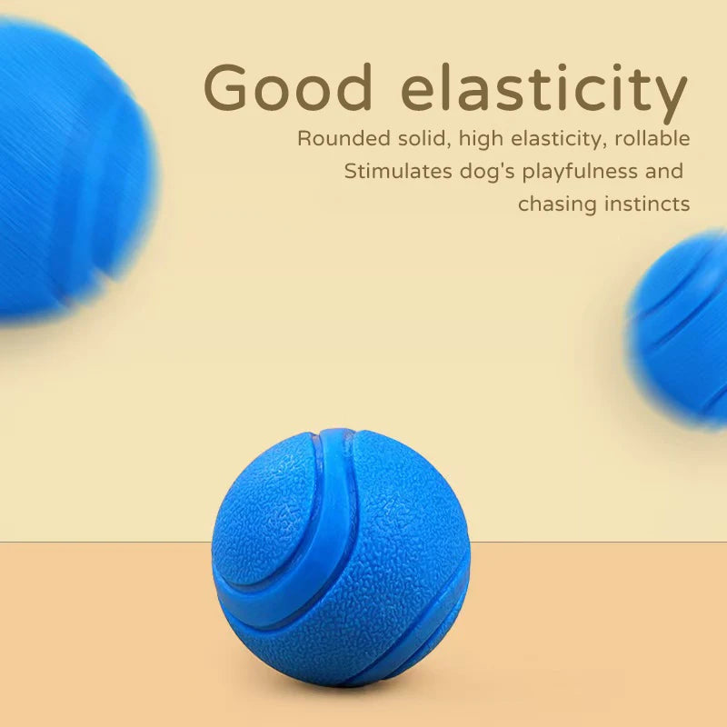 Dog ball