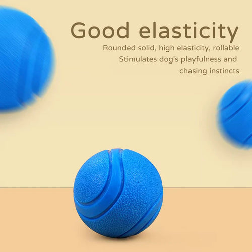Dog ball