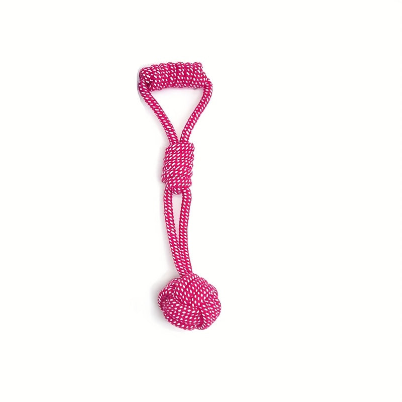 Interactive Dog Leash Toy