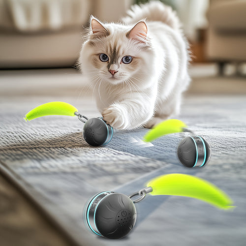 Cat interactive toy ball