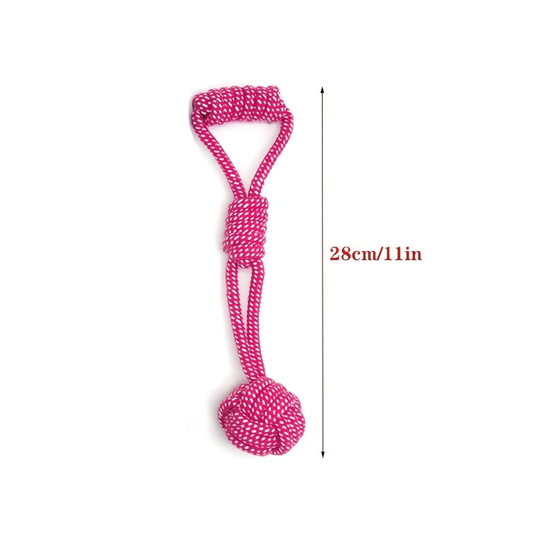 Interactive Dog Leash Toy