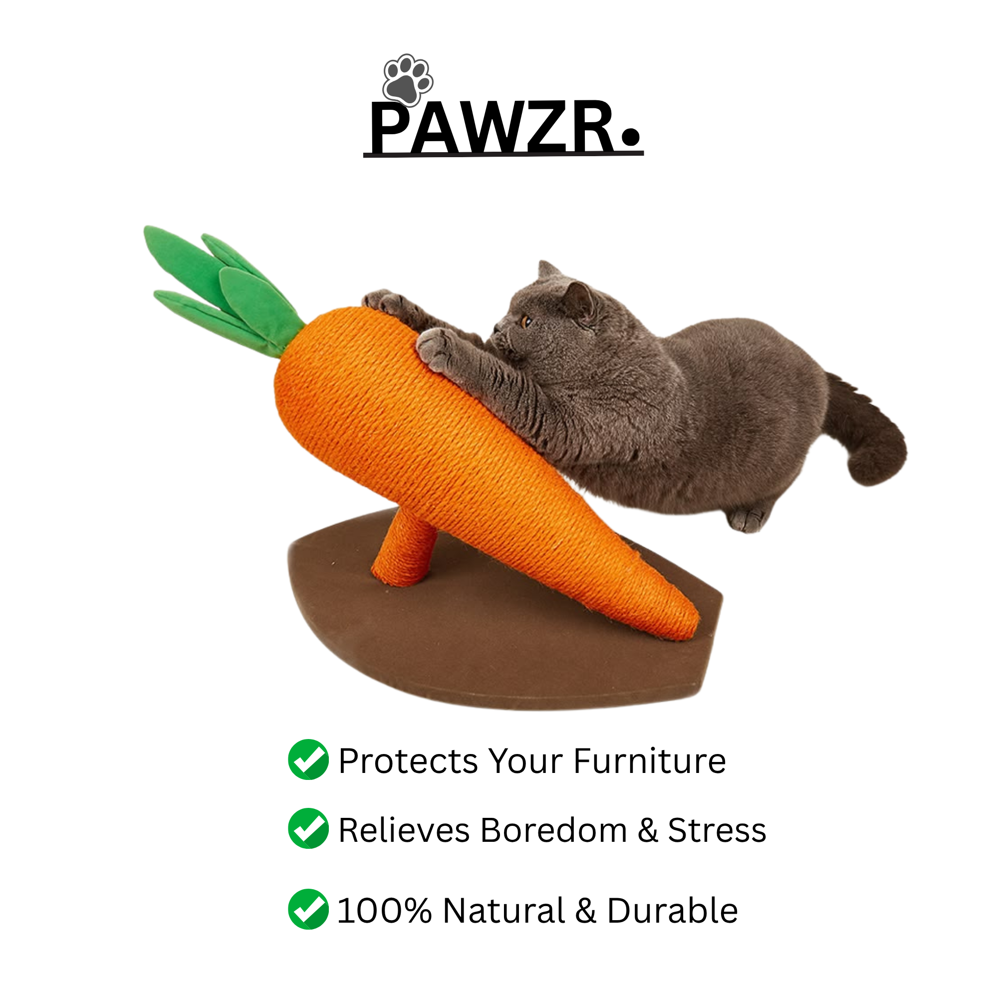 Cat Scratcher